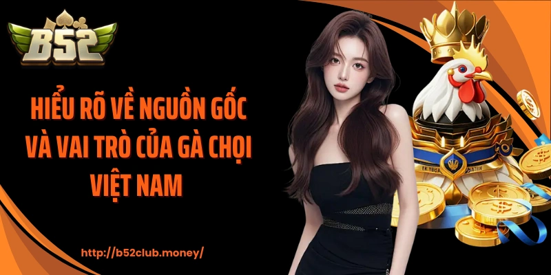 Hiểu rõ về nguồn gốc và vai trò của gà chọi Việt Nam 
