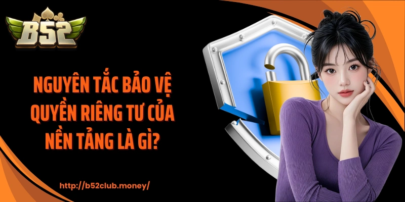 Nguyên tắc bảo vệ quyền riêng tư của nền tảng là gì?